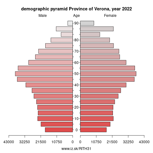 demographic pyramid ITH31 Province of Verona