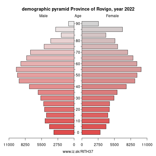demographic pyramid ITH37 Province of Rovigo