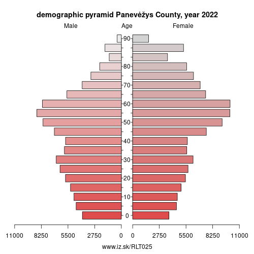 demographic pyramid LT025 Panevėžys County
