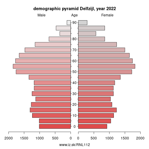 demographic pyramid NL112 Delfzijl
