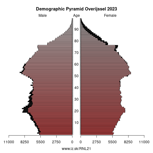 population pyramid of NL21 Overijssel