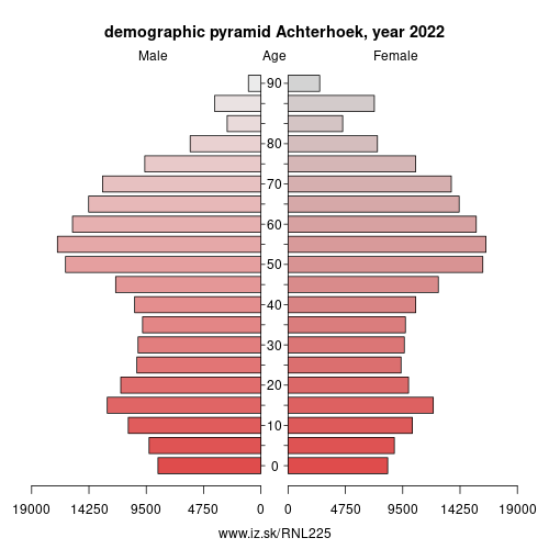 demographic pyramid NL225 Achterhoek