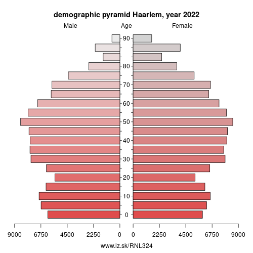 demographic pyramid NL324 Haarlem