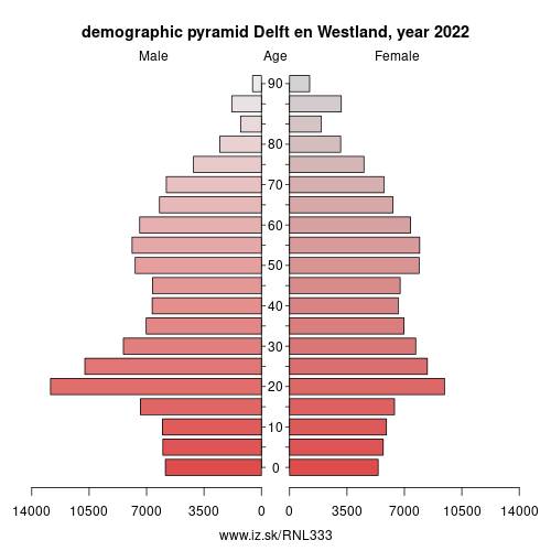 population pyramid of NL333 Delft en Westland