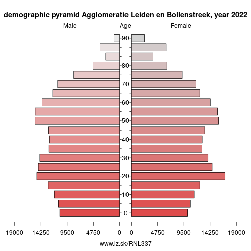 demographic pyramid NL337 Agglomeratie Leiden en Bollenstreek