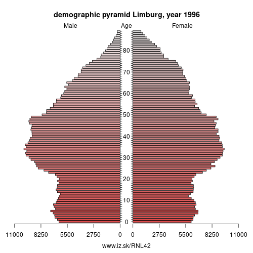 demographic pyramid NL42 1996 Limburg, population pyramid of Limburg