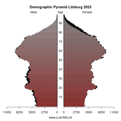 demographic pyramid NL42 Limburg