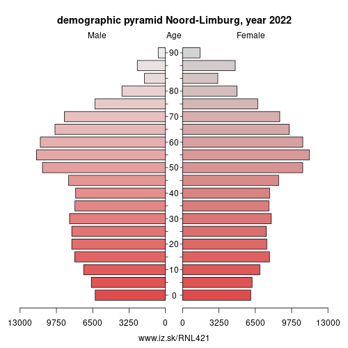 demographic pyramid NL421 Noord-Limburg