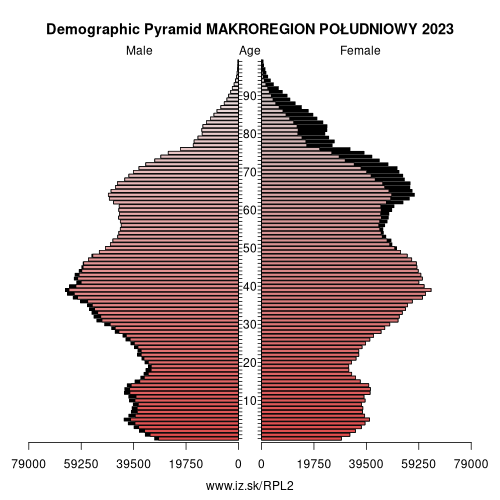 demographic pyramid PL2 MAKROREGION POŁUDNIOWY