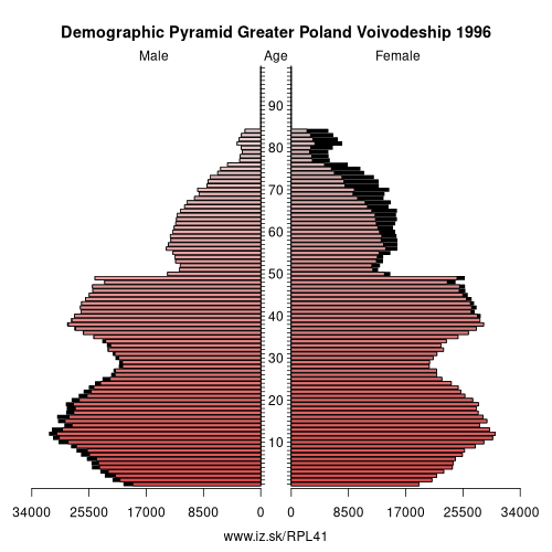 demographic pyramid PL41 1996 Greater Poland Voivodeship, population pyramid of Greater Poland Voivodeship