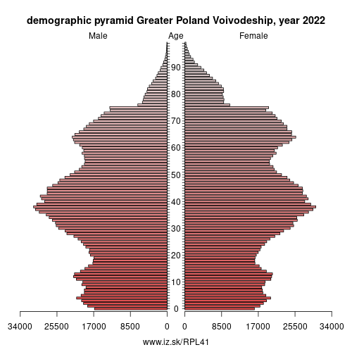 demographic pyramid PL41 Greater Poland Voivodeship