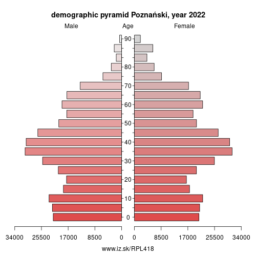 demographic pyramid PL418 Poznański