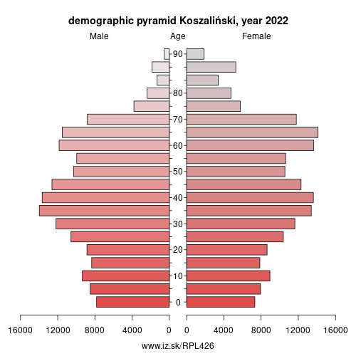 demographic pyramid PL426 Koszaliński