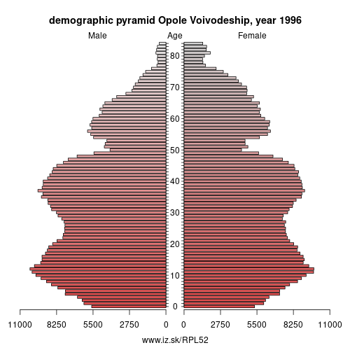 demographic pyramid PL52 1996 Opole Voivodeship, population pyramid of Opole Voivodeship