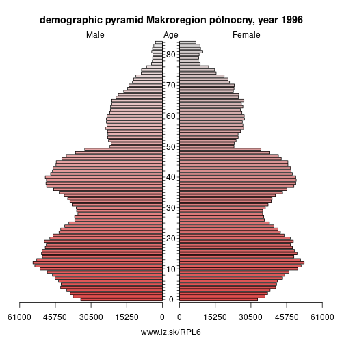 demographic pyramid PL6 1996 Makroregion północny, population pyramid of Makroregion północny