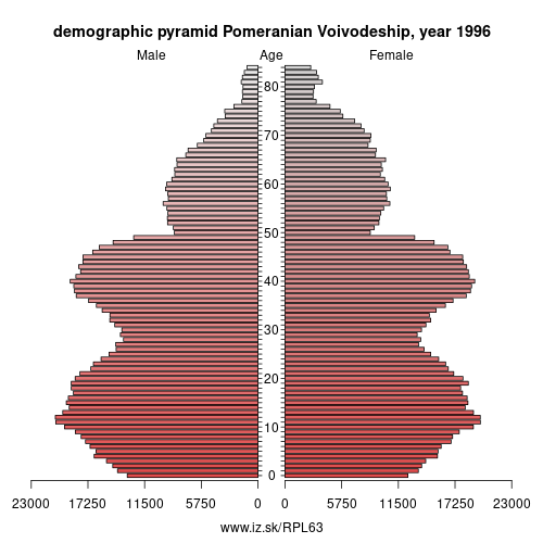 demographic pyramid PL63 1996 Pomeranian Voivodeship, population pyramid of Pomeranian Voivodeship