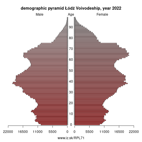 demographic pyramid PL71 Łódź Voivodeship