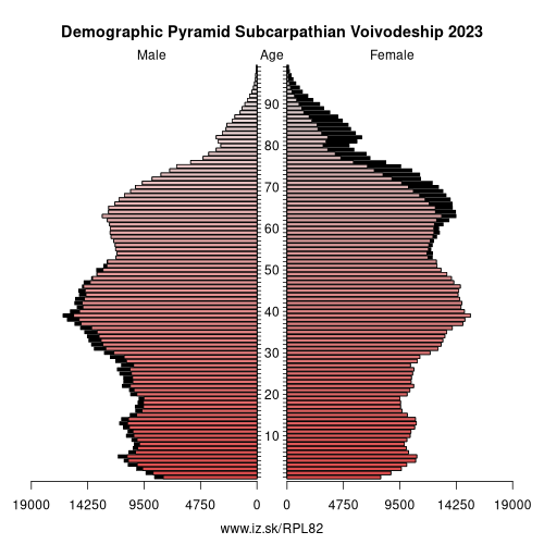 demographic pyramid PL82 Subcarpathian Voivodeship