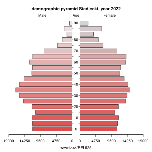 demographic pyramid PL925 Siedlecki
