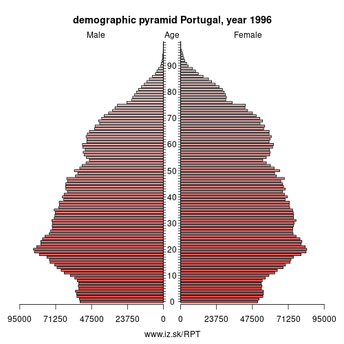 demographic pyramid PT 1996 Portugal, population pyramid of Portugal