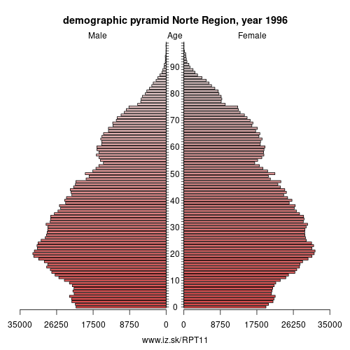 demographic pyramid PT11 1996 Norte Region, population pyramid of Norte Region
