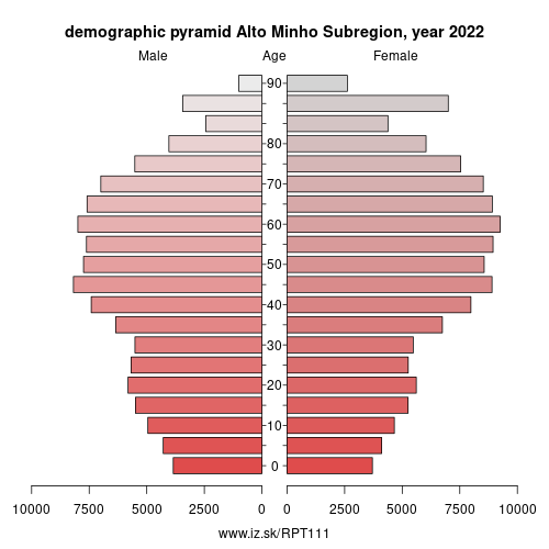 demographic pyramid PT111 Alto Minho Subregion