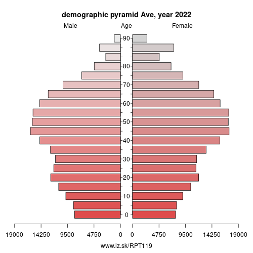 demographic pyramid PT119 Ave Subregion