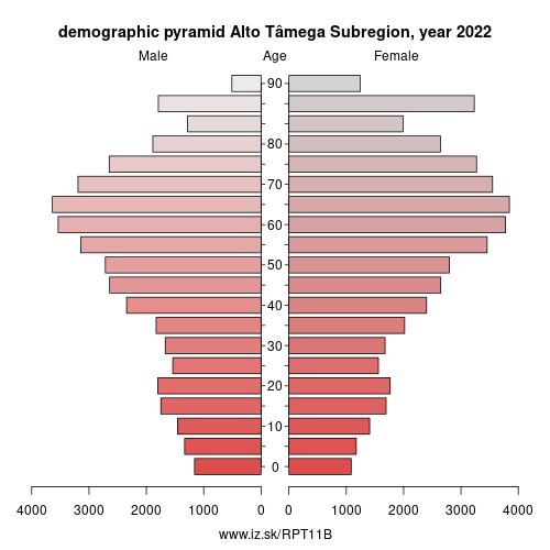 demographic pyramid PT11B Alto Tâmega Subregion