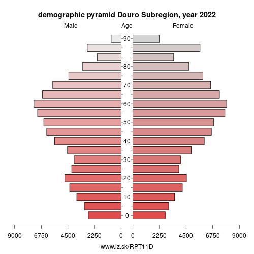 demographic pyramid PT11D Douro Subregion