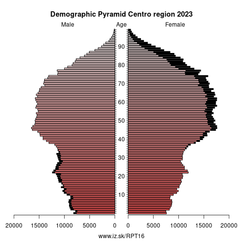 demographic pyramid PT16 Centro region