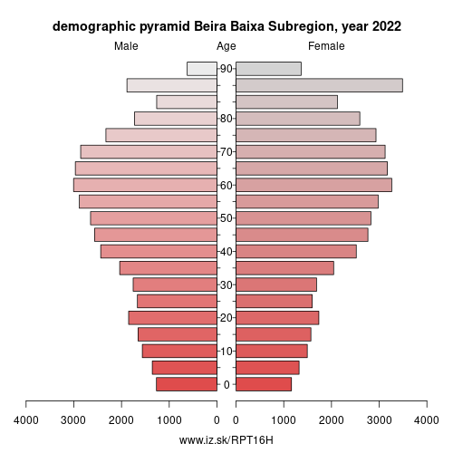demographic pyramid PT16H Beira Baixa Subregion