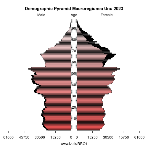 demographic pyramid RO1 Macroregiunea Unu