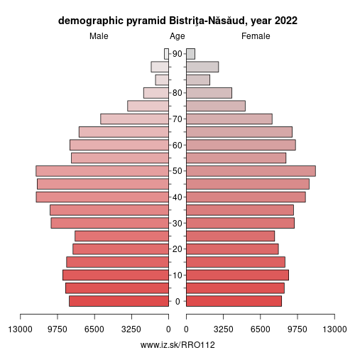 demographic pyramid RO112 Bistriţa-Năsăud