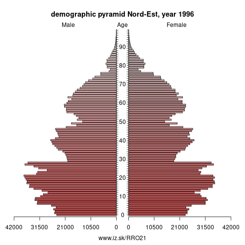 demographic pyramid RO21 1996 Nord-Est, population pyramid of Nord-Est