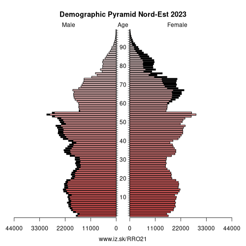 demographic pyramid RO21 Nord-Est