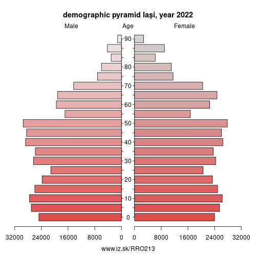 demographic pyramid RO213 Iaşi