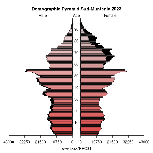 demographic pyramid RO31 Sud-Muntenia