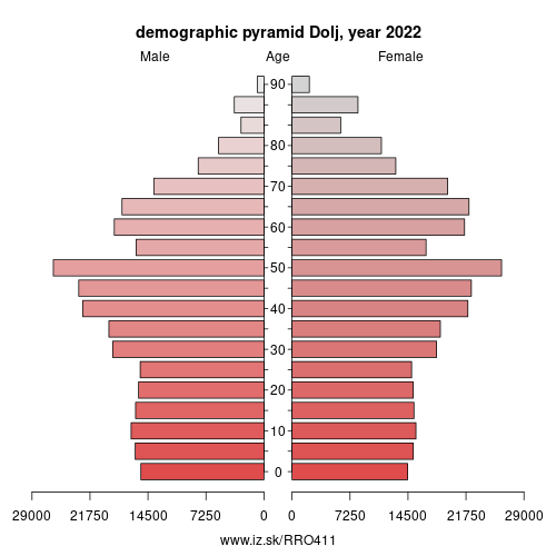 demographic pyramid RO411 Dolj