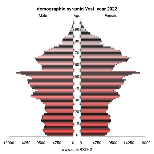 demographic pyramid RO42 Vest