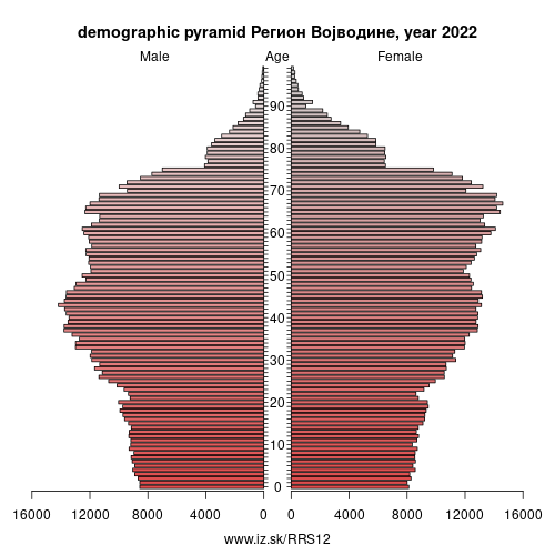 demographic pyramid RS12 Регион Војводине