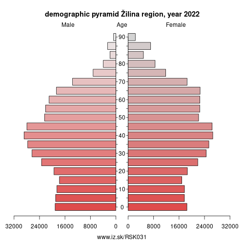 demographic pyramid SK031 Žilina region