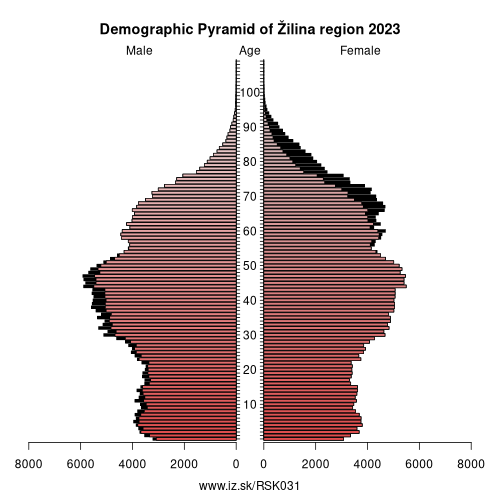 demographic pyramid SK031 Žilina region