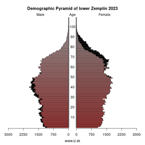 demographic pyramid lower Zemplín 2023