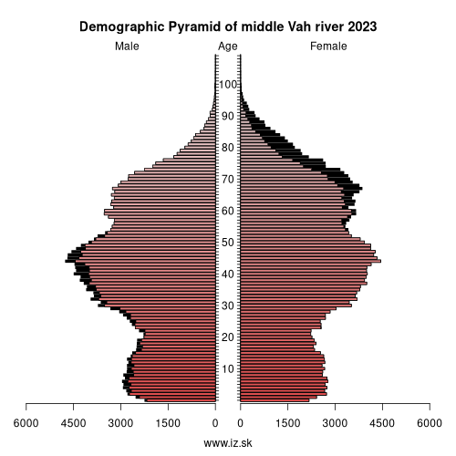 demographic pyramid middle Vah river 2023