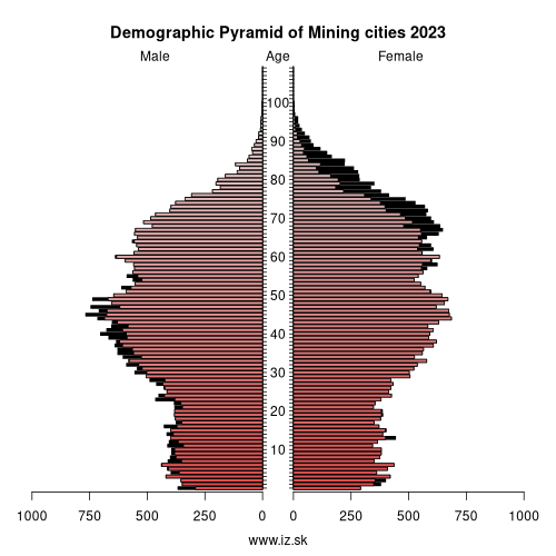 demographic pyramid Mining cities 2023