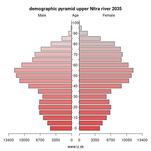 demographic pyramid upper Nitra river 2035
