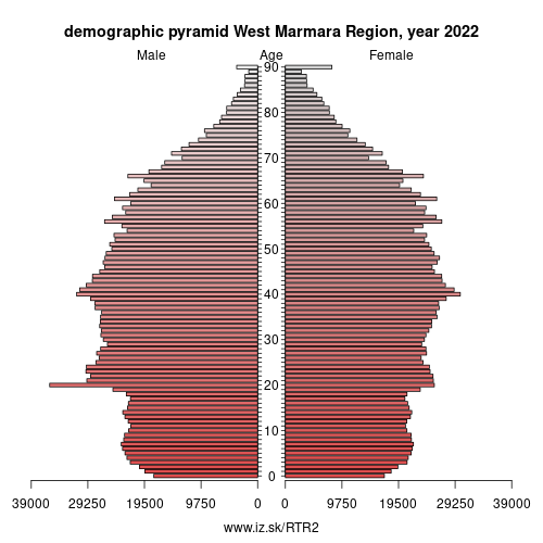 demographic pyramid TR2 West Marmara Region
