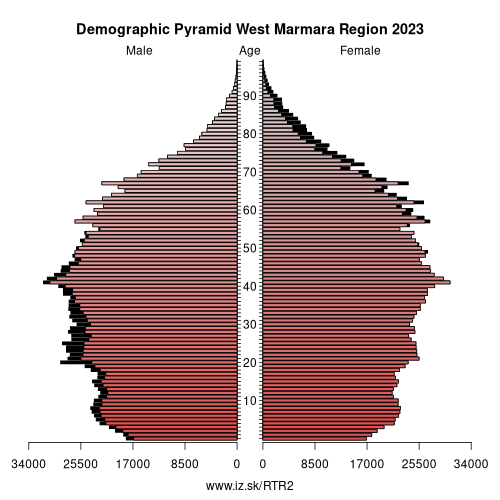 demographic pyramid TR2 West Marmara Region