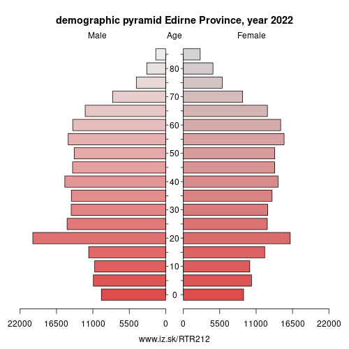 demographic pyramid TR212 Edirne Province