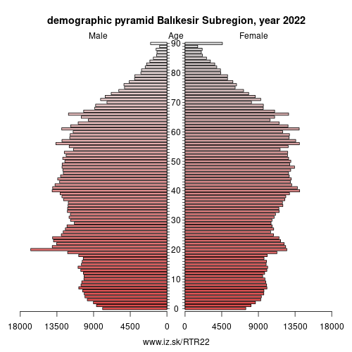 demographic pyramid TR22 Balıkesir Subregion